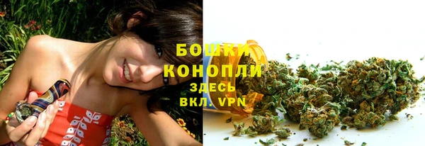 прущие крисы Арсеньев