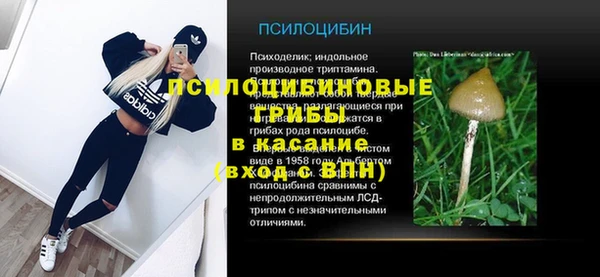 прущие крисы Арсеньев