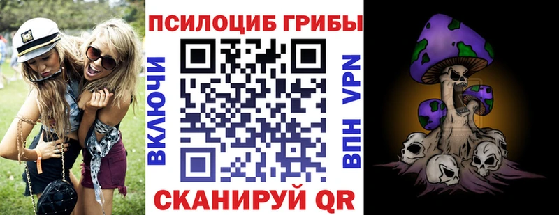 мега ТОР  Вилючинск  Галлюциногенные грибы прущие грибы 